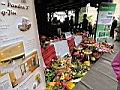 DSC08407.JPG