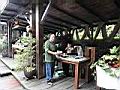 DSC08413.JPG