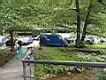 DSC08448.JPG