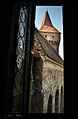 De la fereastra castelului Corvinilor.jpg