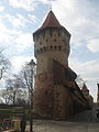 Turnul Dulgherilor din Sibiu2.jpg