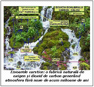 Casetă text:   
 Izvoarele carstice: o fabrică naturală de oxigen şi dioxid de carbon gener�nd atmosfera fără noxe de acum milioane de ani 
